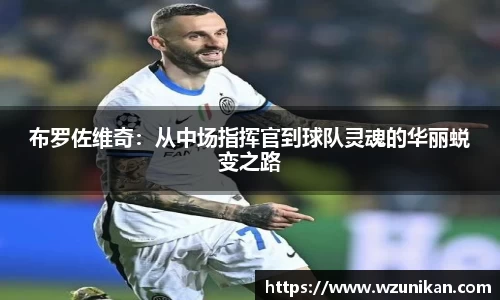 布罗佐维奇：从中场指挥官到球队灵魂的华丽蜕变之路
